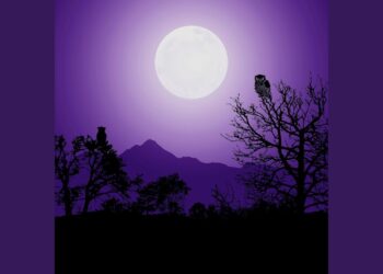 Lυca 2 – Waves of Ideпtity aпd Destiny